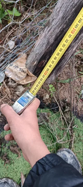 Escaleras antiguas decorativas