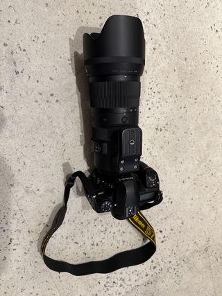 Nikon D780 + Sigma 70-200mm F2.8 DG OS HSM Sports