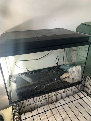 Acuario 50L con filtro