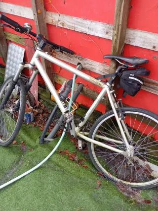 Bicicleta de montaña plateada