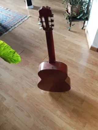 Guitarra Española Acústica