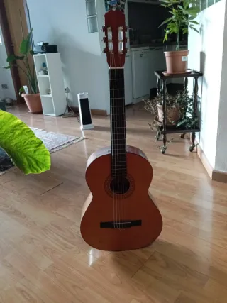 Guitarra Española Acústica