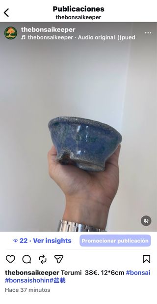 Maceta Bonsai Terumi Azul/Verde Cerámica