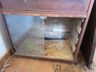 Módulo terrario hecho a mano