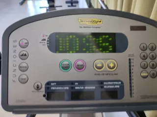 Máquina de step Technogym profesional (NEGOCIABLE)