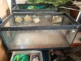 Urna de cristal para acuario