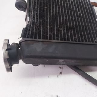 Radiatore Acqua Honda Integra 700 2012-2013