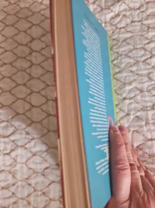 2x1 El Diaro De Bridget Jones