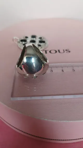 Conjunto Tous Minerva plata y onix