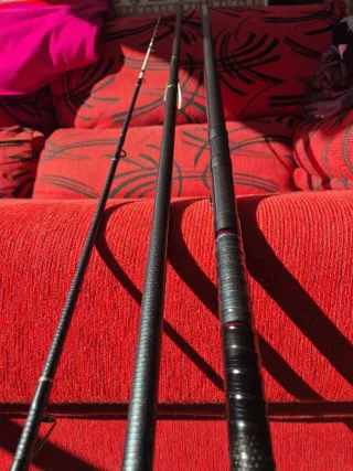 Caña de pescar Daiwa Tournament