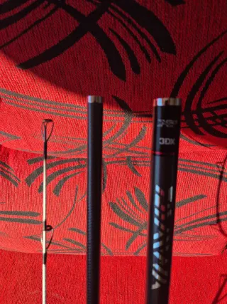 Caña de pescar Daiwa Tournament