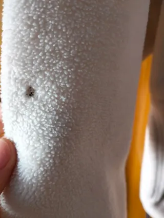 Sudadera Adidas Vintage Blanca