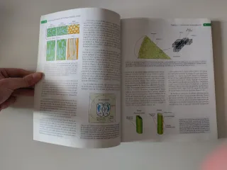 Fundamentos básicos de fisiología animal y vegetal