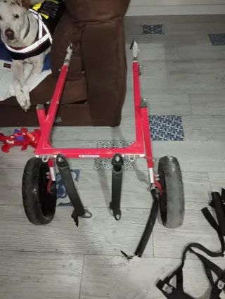 Silla de ruedas para perro grande de 35 kg.
