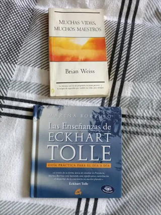 LOTE DE 13 LIBROS POR 15€