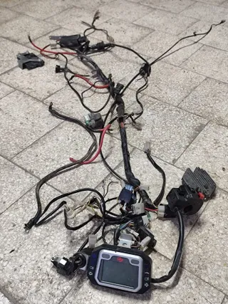 Cablaggio completo gas gas 450 2007