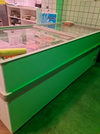 Arcón congelador con cubetas de 2 metros largo