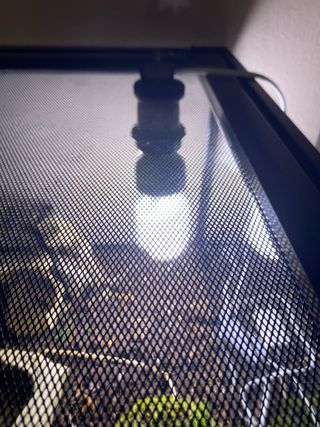 Terrario para mascotas y de regalo inquilino