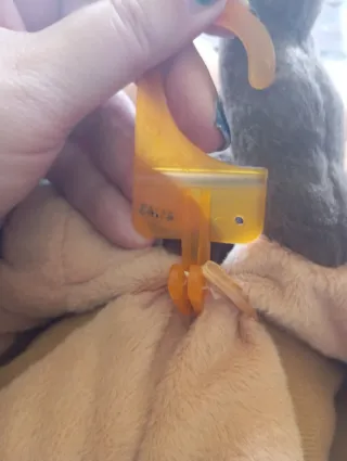 Morbide pantofole toro beige/marrone