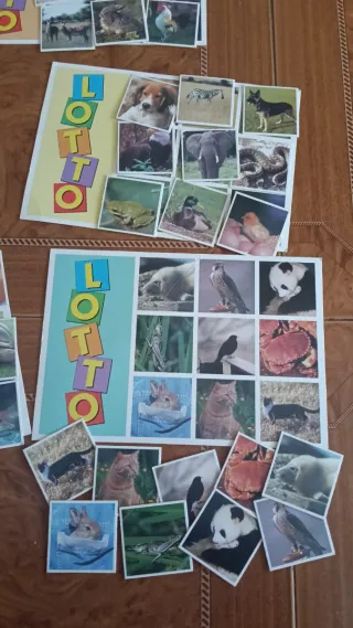 Juego de mesa Djur LOTTO Alga de animales