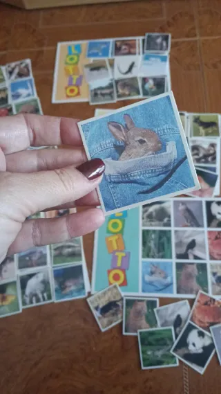 Juego de mesa Djur LOTTO Alga de animales