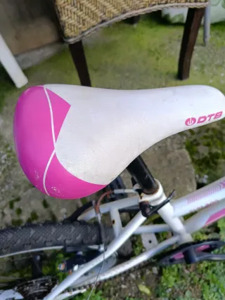 Bicicleta infantil niña