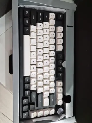 Teclado Mecánico Negro y Blanco