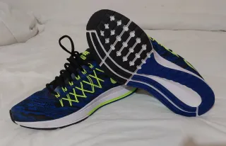 Nike Zoom Pegasus 32