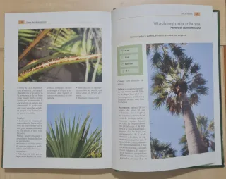 El gran libro de las palmeras