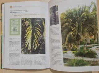 El gran libro de las palmeras