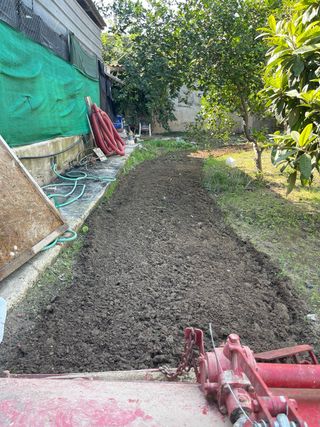 Servicio de trabajo agrícola