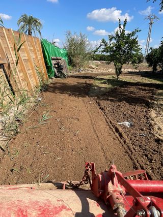 Servicio de trabajo agrícola