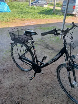 Bicicleta paseo