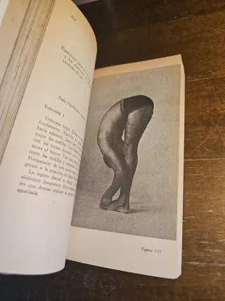 El Libro del Yoga - Swami Vishnudevananda