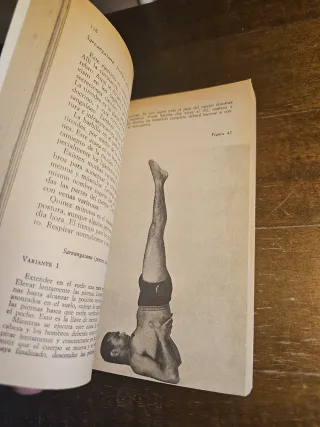 El Libro del Yoga - Swami Vishnudevananda