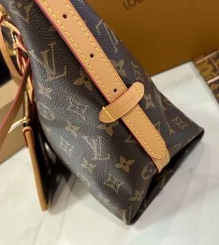 Bolso Louis Vuitton CarryAll PM Marrón/Rojo