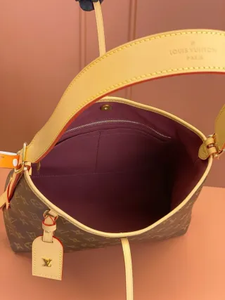 Bolso Louis Vuitton CarryAll PM Marrón/Rojo