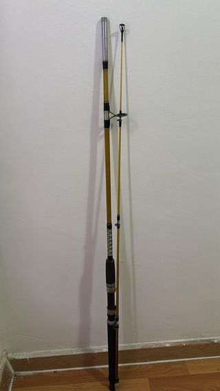 Caña de pescar