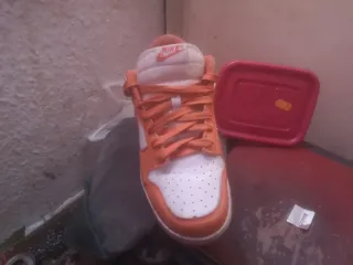 Nike Dunk Low Naranja y Blanco
