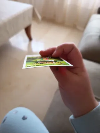 Cromo Fantastica Futbol