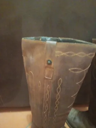 Texani Sancho marroni