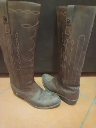 Texani Sancho marroni