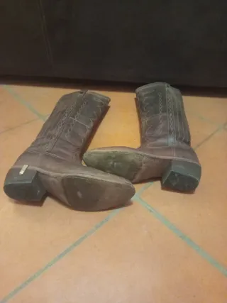 Texani Sancho marroni