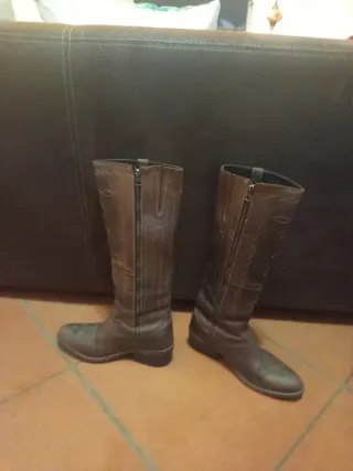 Texani Sancho marroni