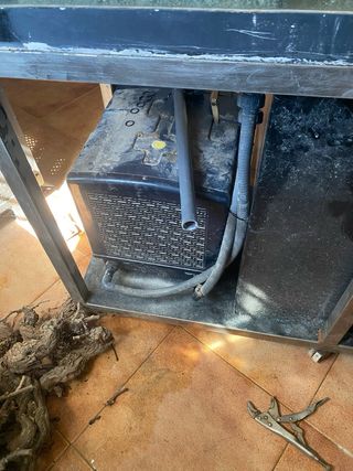 Acuario Marino con roca y filtro