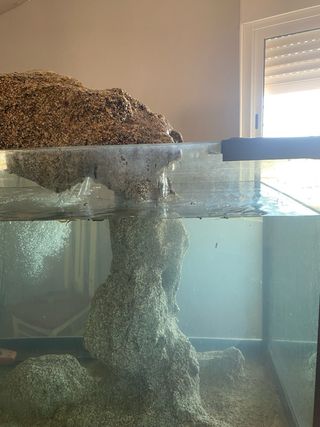 Acuario Marino con roca y filtro