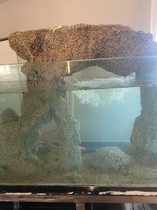 Acuario Marino con roca y filtro