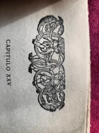 Libro antiguo de Ramón Muntaner