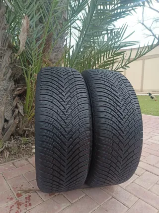 Neumáticos 235/60/16 100H