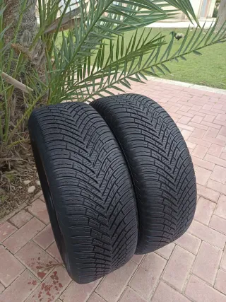 Neumáticos 235/60/16 100H